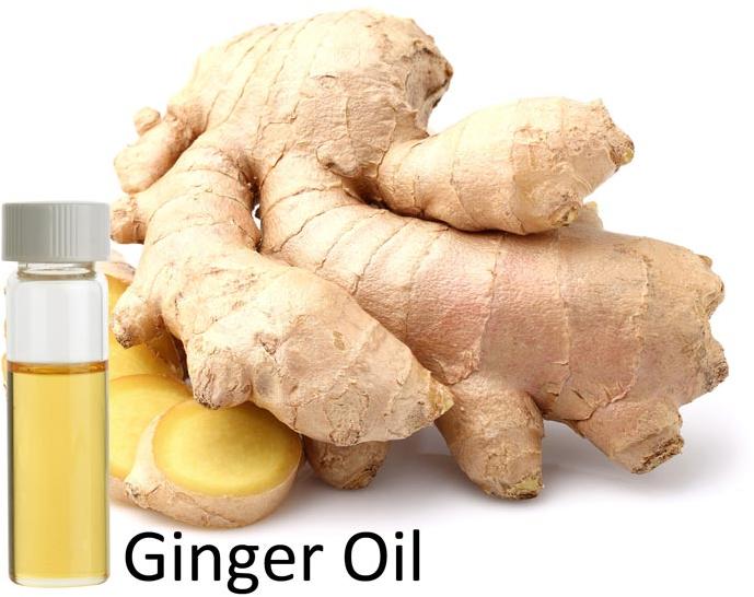 Ginger Root Oil