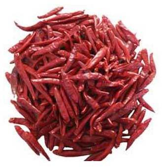 Red Chilli Indu