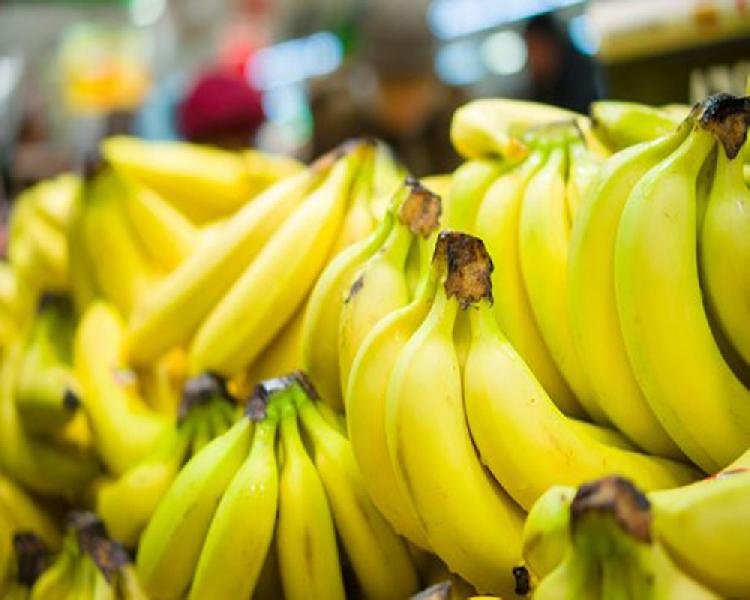 Fresh Banana - Green Vege Exports Pvt. Ltd., Navi Mumbai, Maharashtra