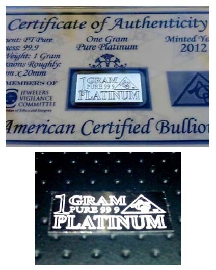 1 Gram Platinum Bar