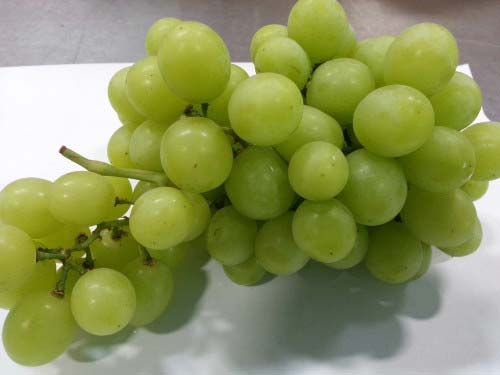 Fresh Perlette Grapes