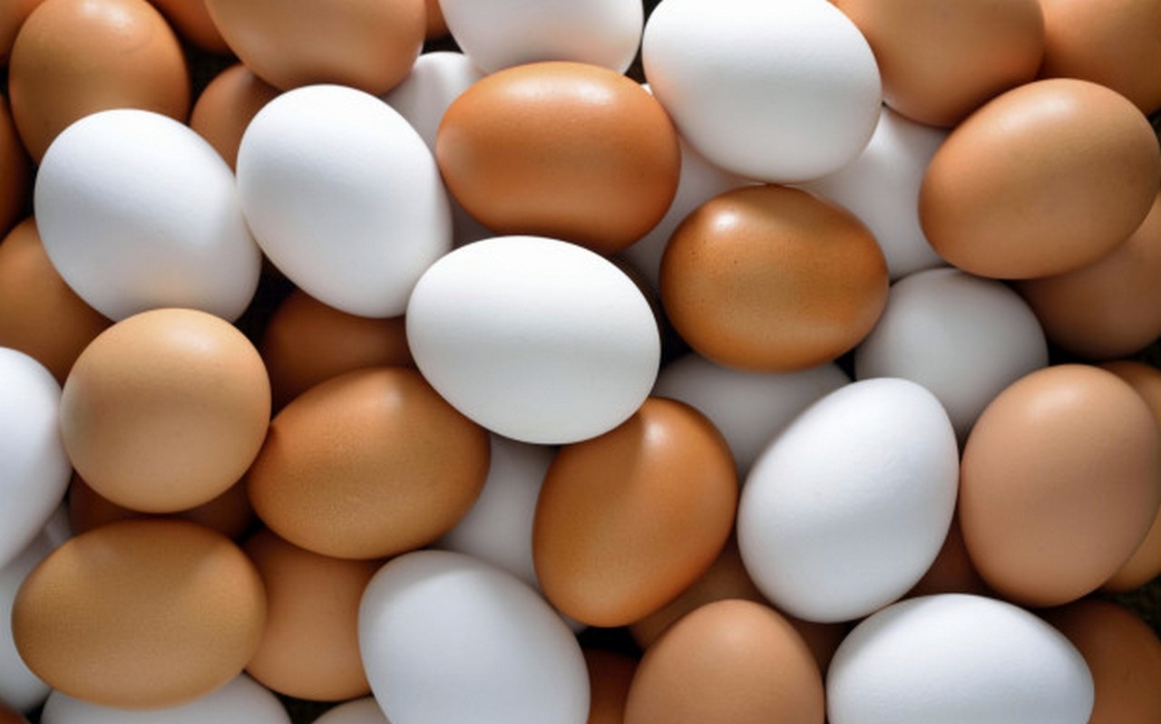 chicken eggs