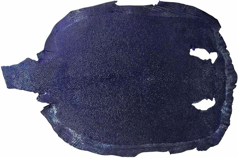 Stingray Skin Leather