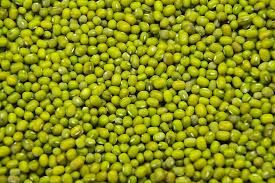 green mung beans