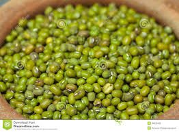 green mung beans