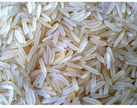 1509 Basmati Rice