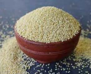 Semi Polished Kodo Millet Rice