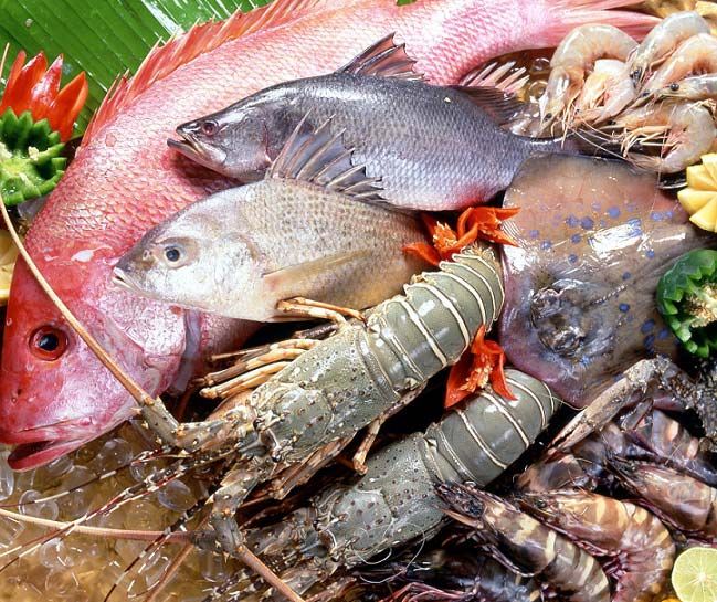 Frozen Seafood Products