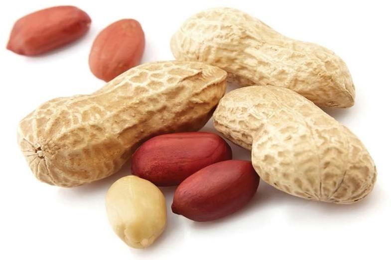 Groundnut Kernels