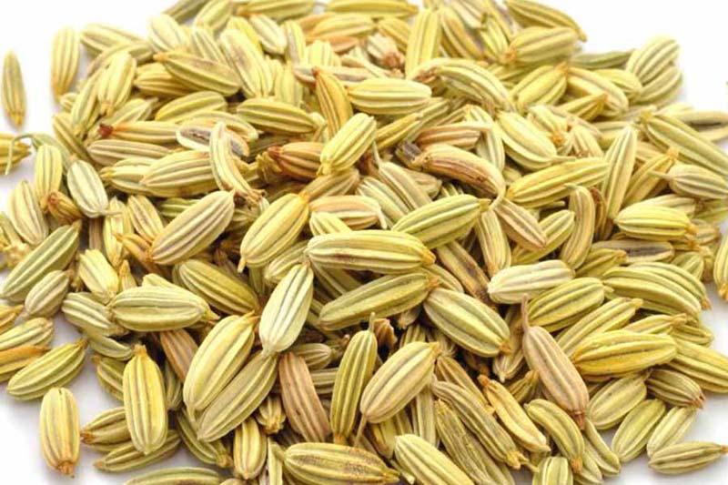 fennel seeds