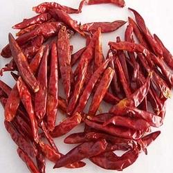 Dried Guntur Red Chilli