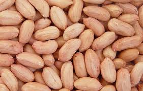 Peanut grain