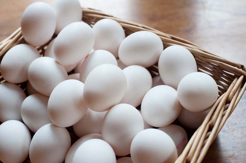 Eggs, Color : White