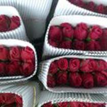 Organic red rose flowers, for Cosmetics, Decoration, Gifting, Medicine, Style : Fresh