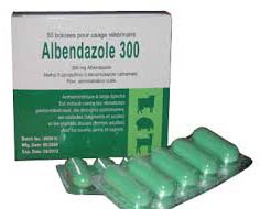 Albendazole 300 Tablets