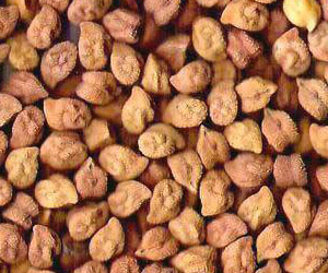 chickpeas