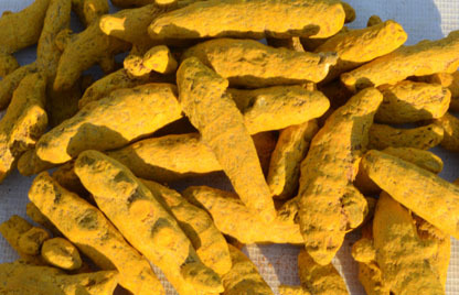 Dried Whole Haldi, for Usage after Powdered, Color : yellow