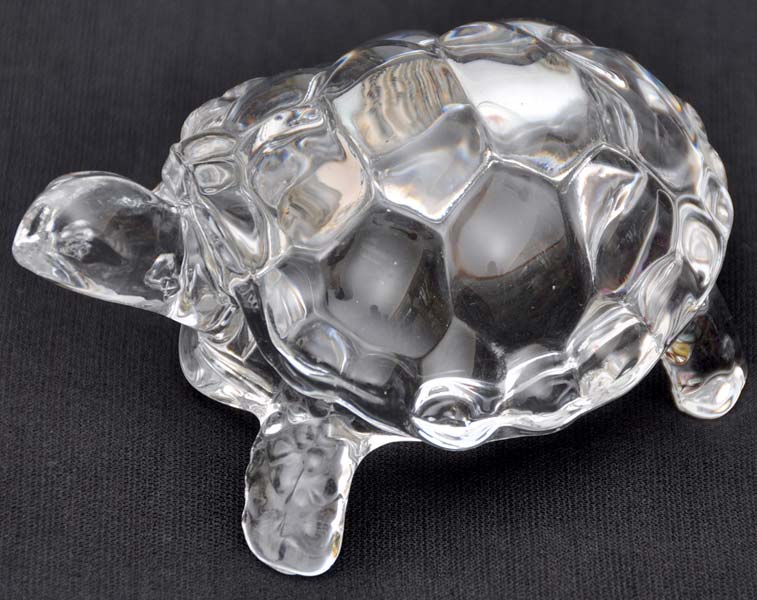 Crystal Tortoise