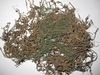 All Naturals bacopa monnieri extract, Packaging Type : Drum