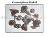 Commiphora Mukul Extract