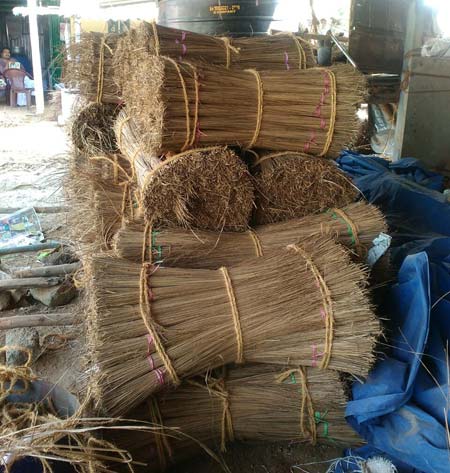 Coconut Broom Sticks, Size : 30 to 50 inchs
