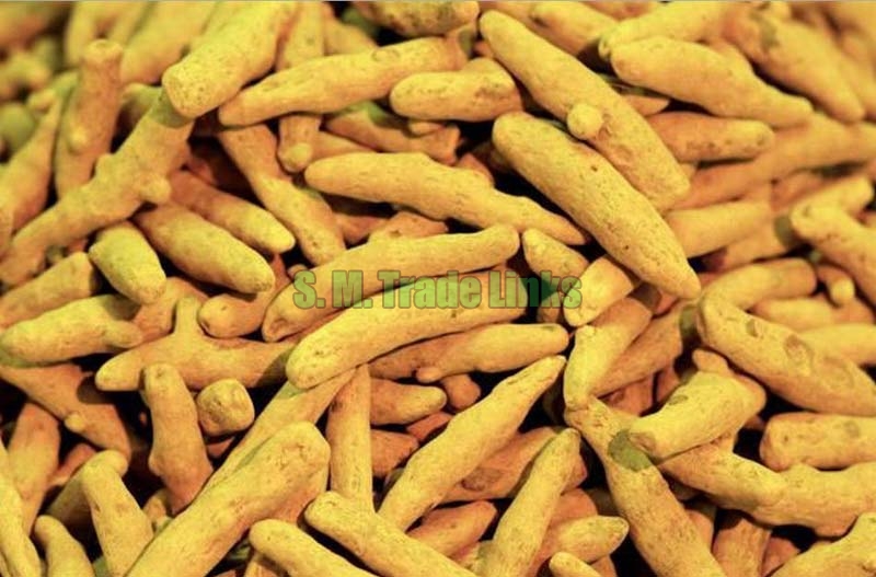 Organic turmeric finger, for Ayurvedic Products, Cooking, Cosmetic Products, Feature : Healthy For Skin