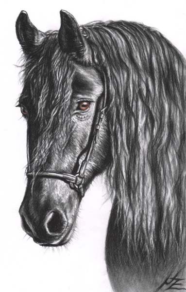 Charcoal Drawing Paintings