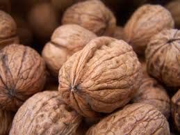 walnut kernels