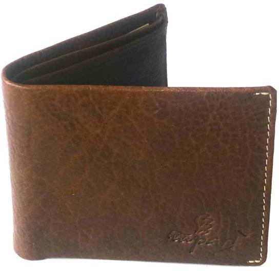 Leather Brown Men Regular Wallet