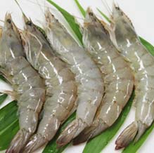 Skinless Vannamei Shrimps, Freezing Process : Cold Storage