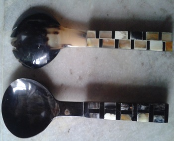 Horn Spoon