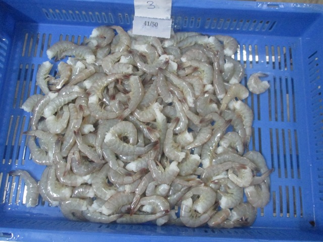 Frozen Vannamei Shrimp, Certification : FDA Certified, ISO 9001:2008