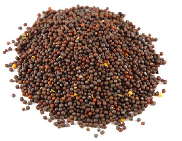 black mustard seeds