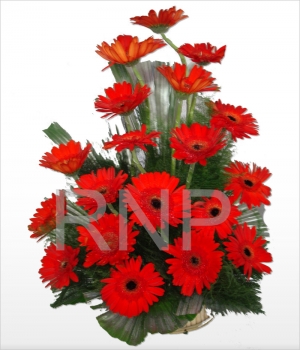 Flowers Online Delivery