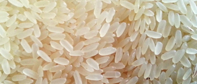 IR 8 Parboiled Long Rice