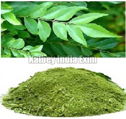 curry leaf powder