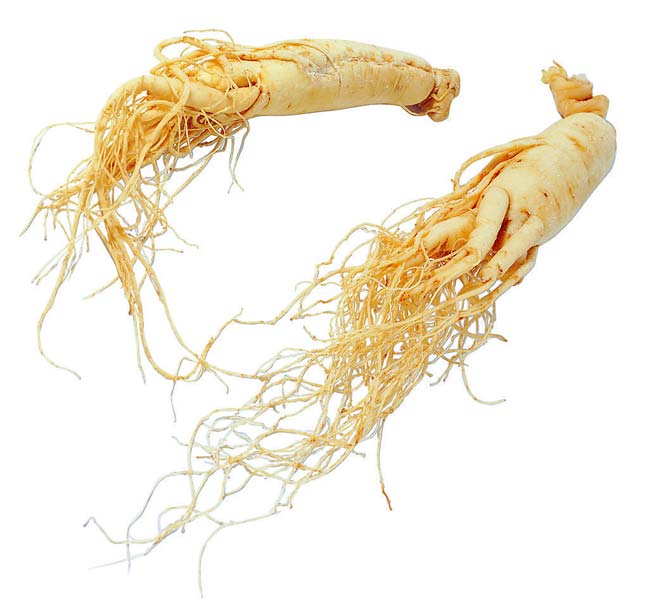 Panax Ginseng Roots