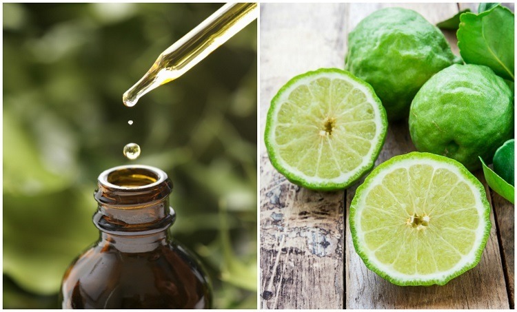 bergamot oil