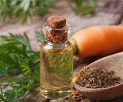 Carrot Seed Oil