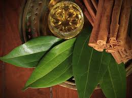 Cinnamon Leaf Oil