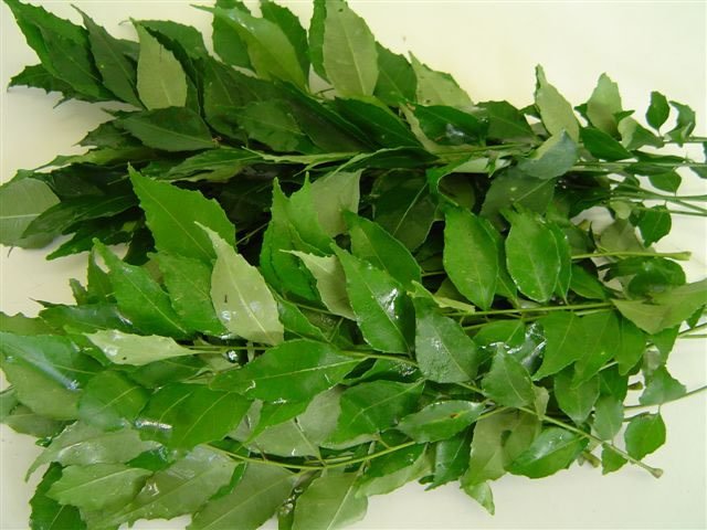 Curry Leaf Oil