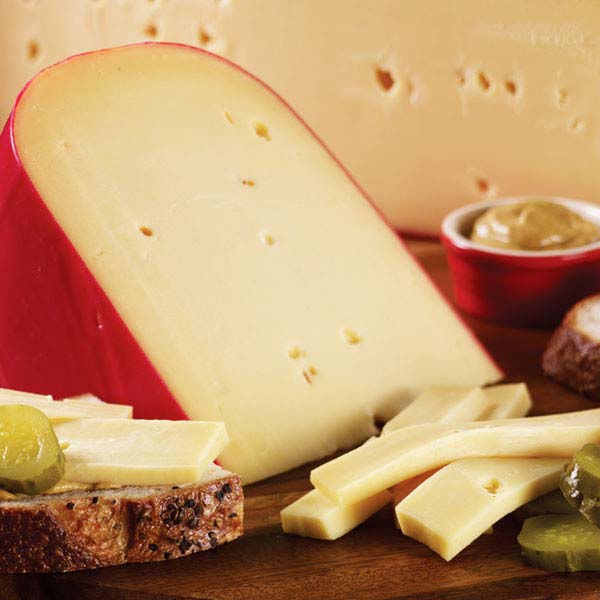 Gouda Cheese Buy Gouda Cheese in Yala Pathany Province Thailand from