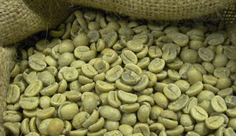 plantation coffee beans