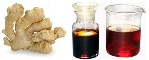 Ginger Oleoresin Co2 Extracts