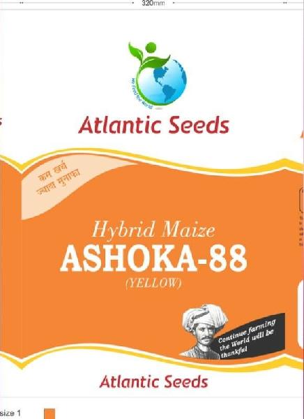 Ashoka-88 Hybrid Yellow Maize Seeds