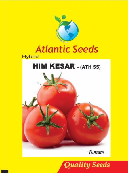 Him Kesar Hybrid Tomato Seeds, Packaging Type : Plastic Pouch, PP Bag, Vaccum Pack