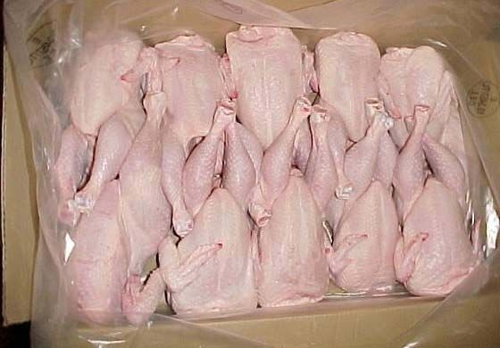 frozen chicken
