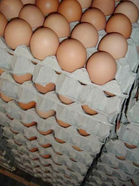 brown eggs