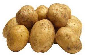 Organic fresh potato, for Home, Restaurant, Snacks, Feature : Good In Taste, Healthy, Non Harmul