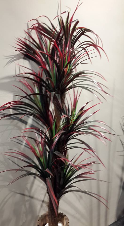 Hayosha Fiber Decorative Artificial Plant, Style : Moderm